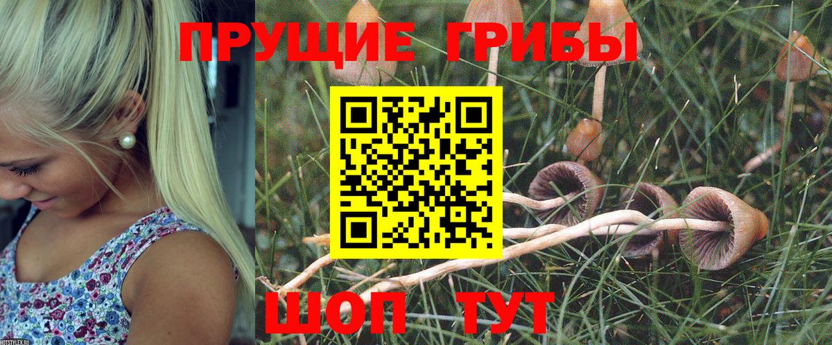 Галлюциногенные грибы прущие грибы  Вход с VPN  Галлюциногенные грибы Psilocybe  Губкин 